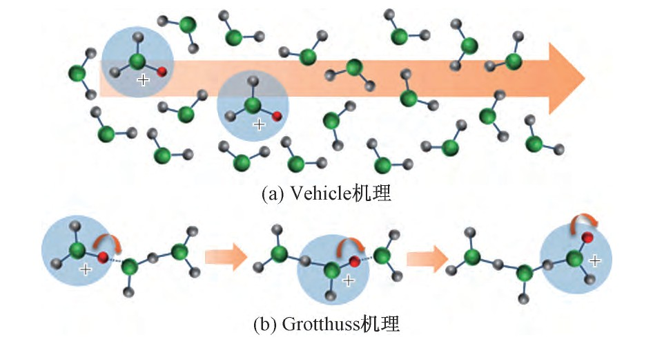 金年会体育科技