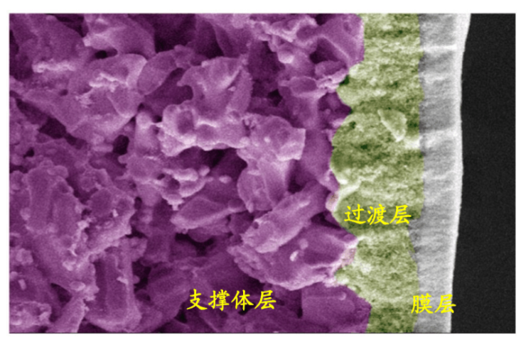 金年会体育科技