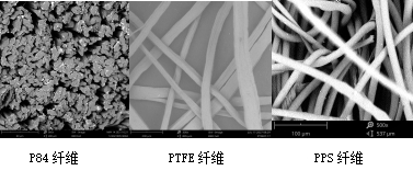 金年会体育科技