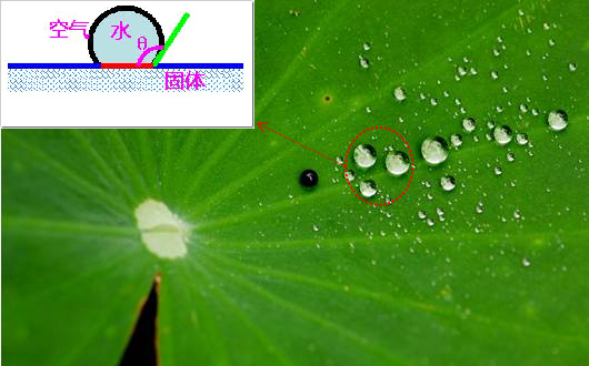 金年会体育科技