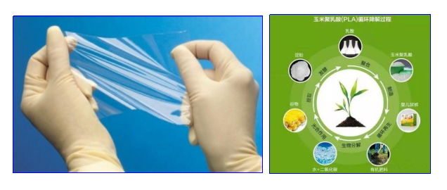 金年会体育科技