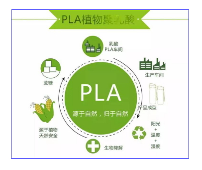 金年会体育科技