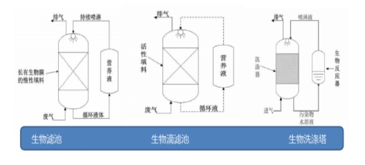 金年会体育科技