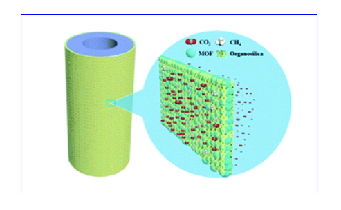 金年会体育科技