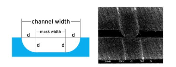 金年会体育科技