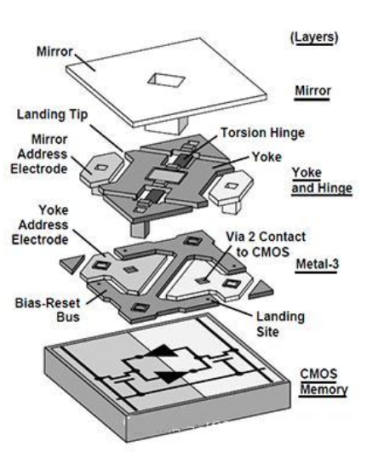 金年会体育科技