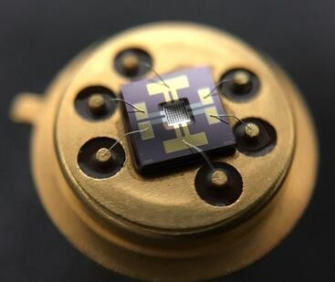 金年会体育科技