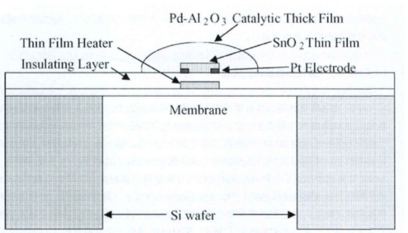 金年会体育科技