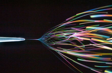 金年会体育科技