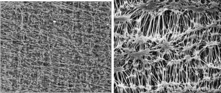 金年会体育科技