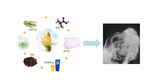 金年会体育科技