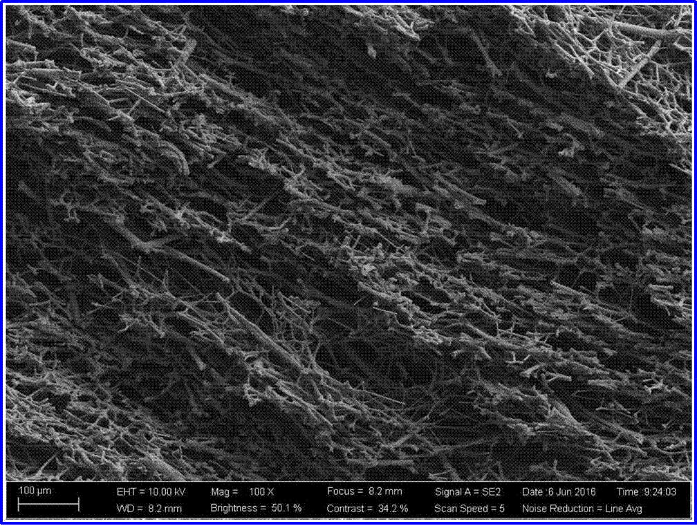 金年会体育科技