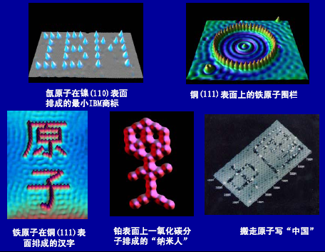 金年会体育科技