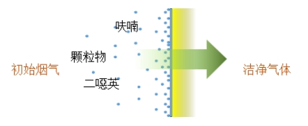 金年会体育科技