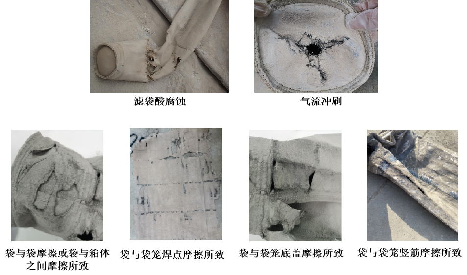 金年会体育科技