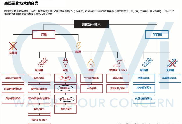 金年会体育科技