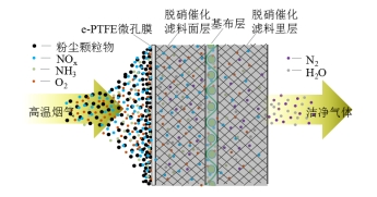 金年会体育科技