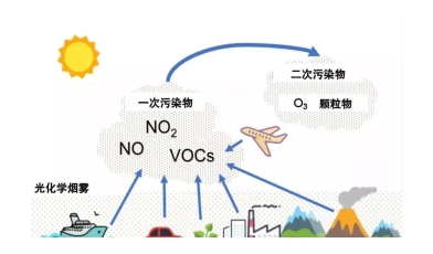 金年会体育科技