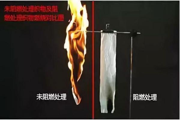 金年会体育科技