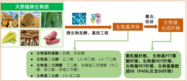 金年会体育科技