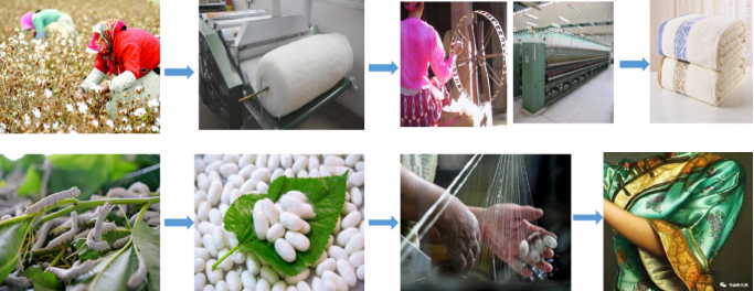 金年会体育科技