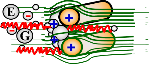 金年会体育科技