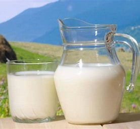 金年会体育科技