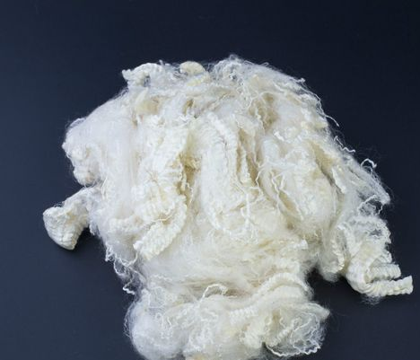 金年会体育科技