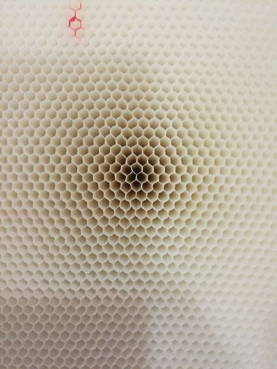 金年会体育科技