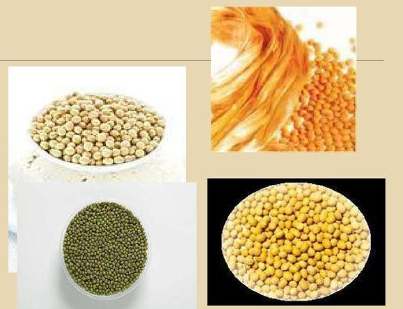 金年会体育科技