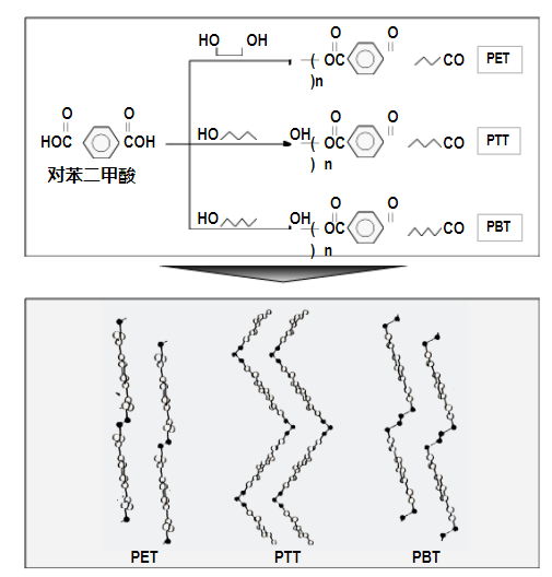 金年会体育科技