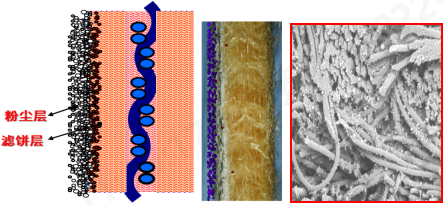 金年会体育科技