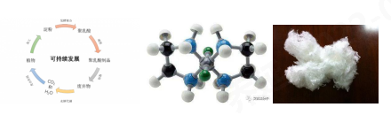 金年会体育科技
