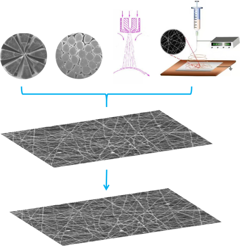 金年会体育科技