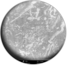 金年会体育科技