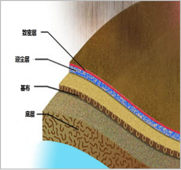 金年会体育科技