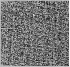 金年会体育科技