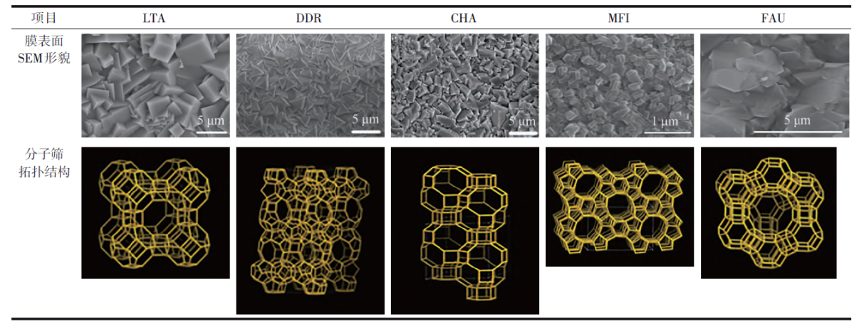 金年会体育科技