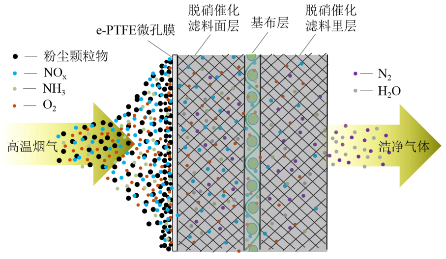 金年会体育科技