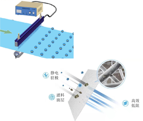 金年会体育科技
