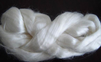 金年会体育科技