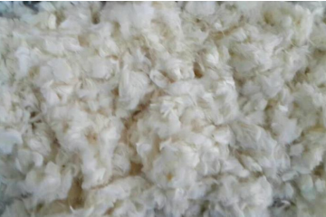 金年会体育科技