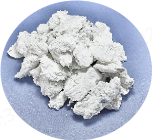 金年会体育科技