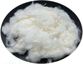 金年会体育科技