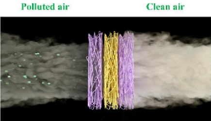 金年会体育科技