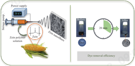 金年会体育科技